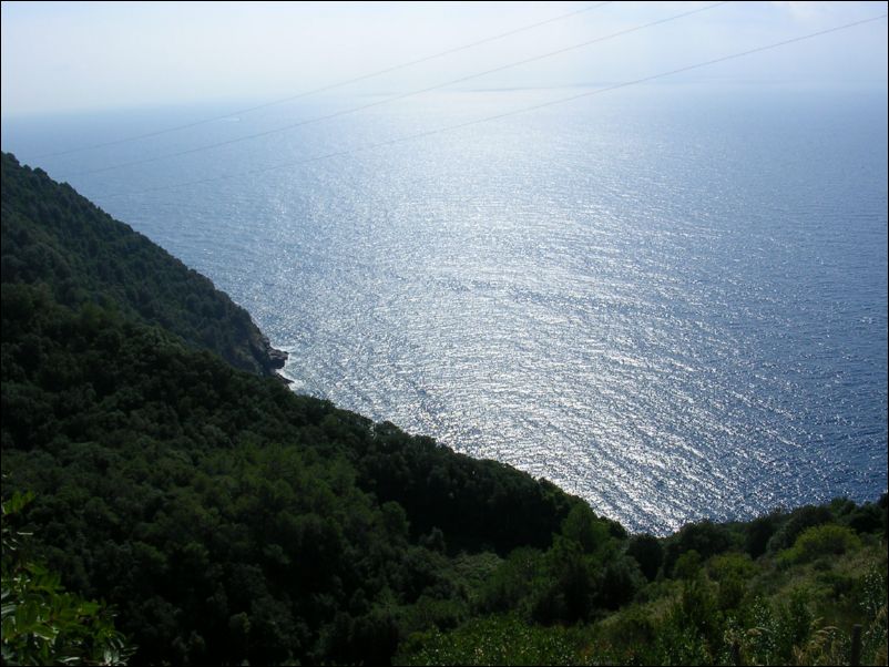 DSCN0201