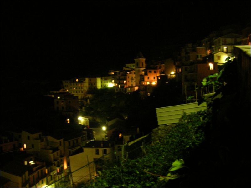 DSCN0229